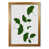 Honey Oak Frame is unavailable