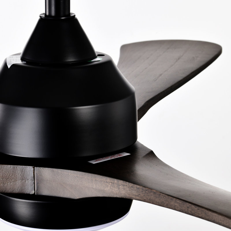 Ventilateur de plafond 52 po avec lumières