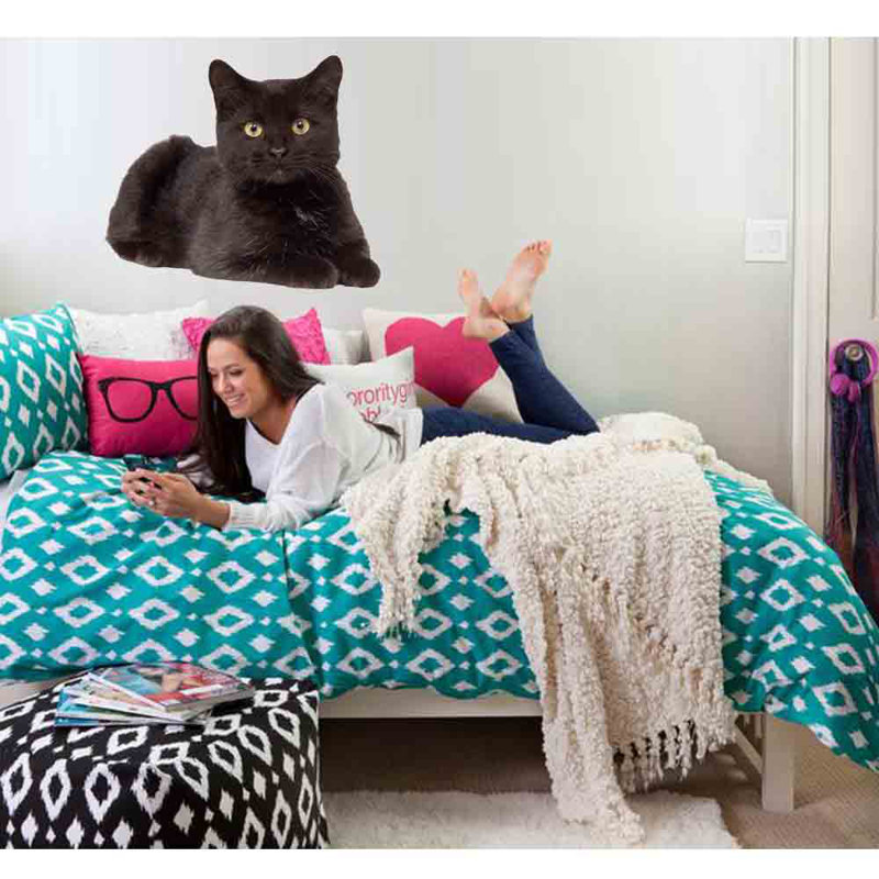 Adhésif décoratif chat IV, H 41 po x l 48 po