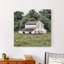" White Barn " Painting Print