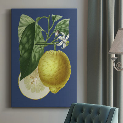 " French Lemon On Navy I "