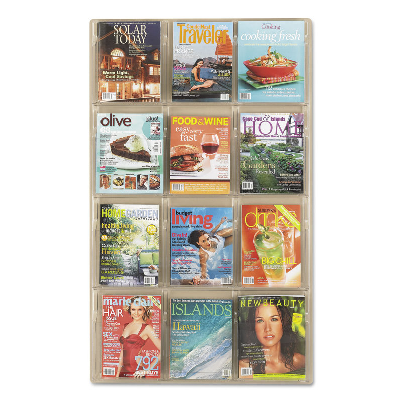 Clear 12-Compartment Wall-Mounted Plastic Literature Holder