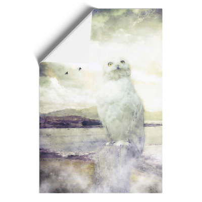 Snowy White Owl Painting - Frameless Print