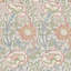 Pink & Rose Wallpaper-50889288