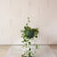 Stainless Steel Hanging Plant Pot-2077731255-2077731253