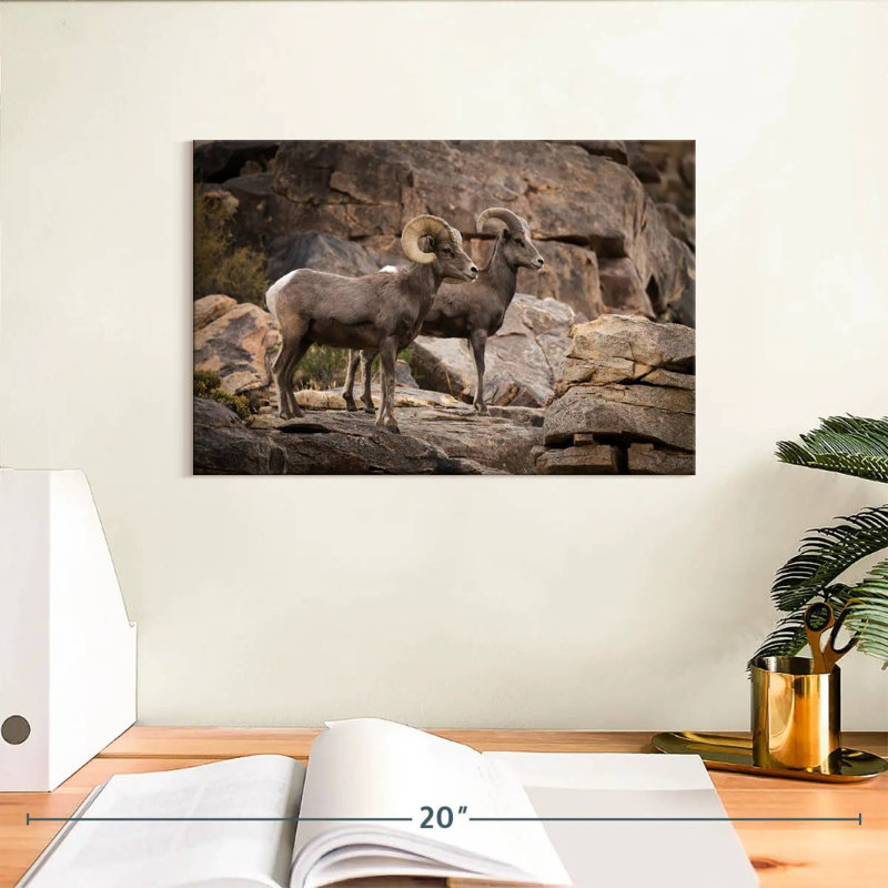 Bighorn Sheep Couple, 8" H x 12" W