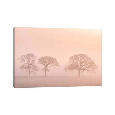 The Peach Trees by Adam Burton - Wrapped Canvas Photograph