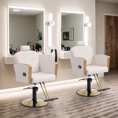 Fauteuil de salon pour coiffeur, fauteuil de coiffeur pour salon de coiffure avec pompe hydraulique professionnelle
