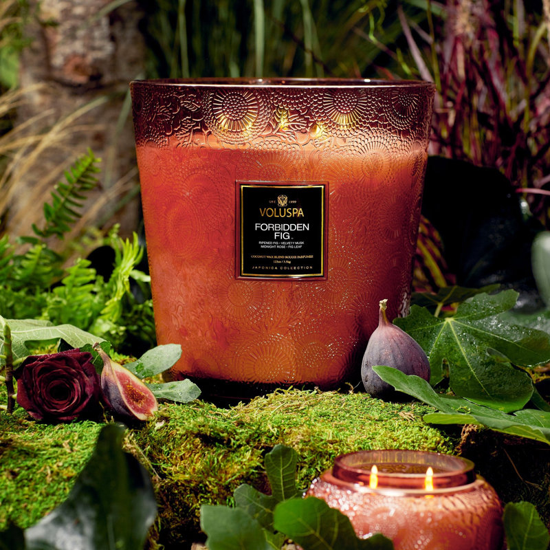 Forbidden Fig 5 Wick Hearth Candle