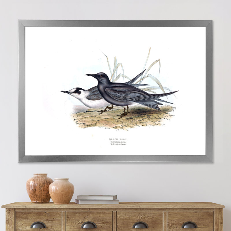 Oiseau rétro de l'Europe II - peinture sur toile, H 24 po x l 32 po x P 1 po, Cadre photo argenté