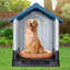 Niche en plastique pour chien-398262979-398262977