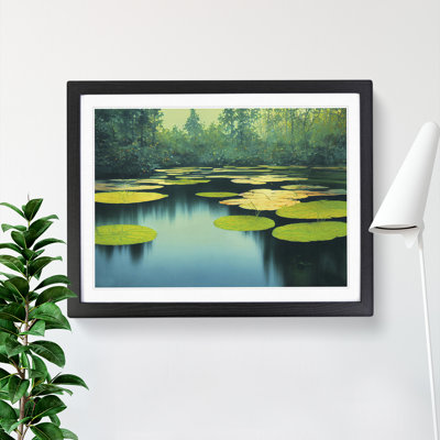 Special Water Lily Pond - Framed Print