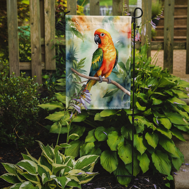 Drapeau de jardin, Conure soleil