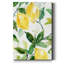 «Lemony Branch I», impression sur toile tendue-721872996