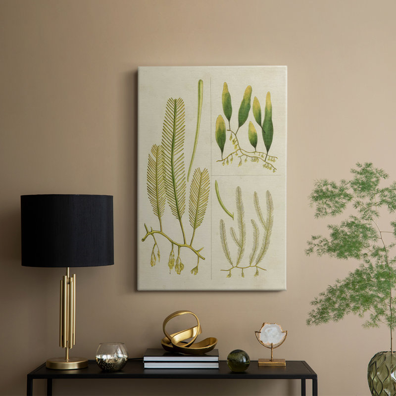 Herbe de mer rétro I - galerie Cavas sur mesure