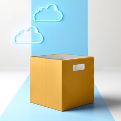 Ebern Designs Decorative Bin
