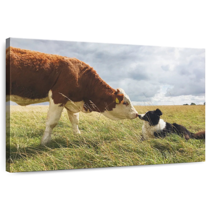 Brampt Cattle Dog, 20" H x 30" W