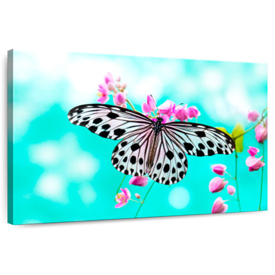 Brampt papillon élégance