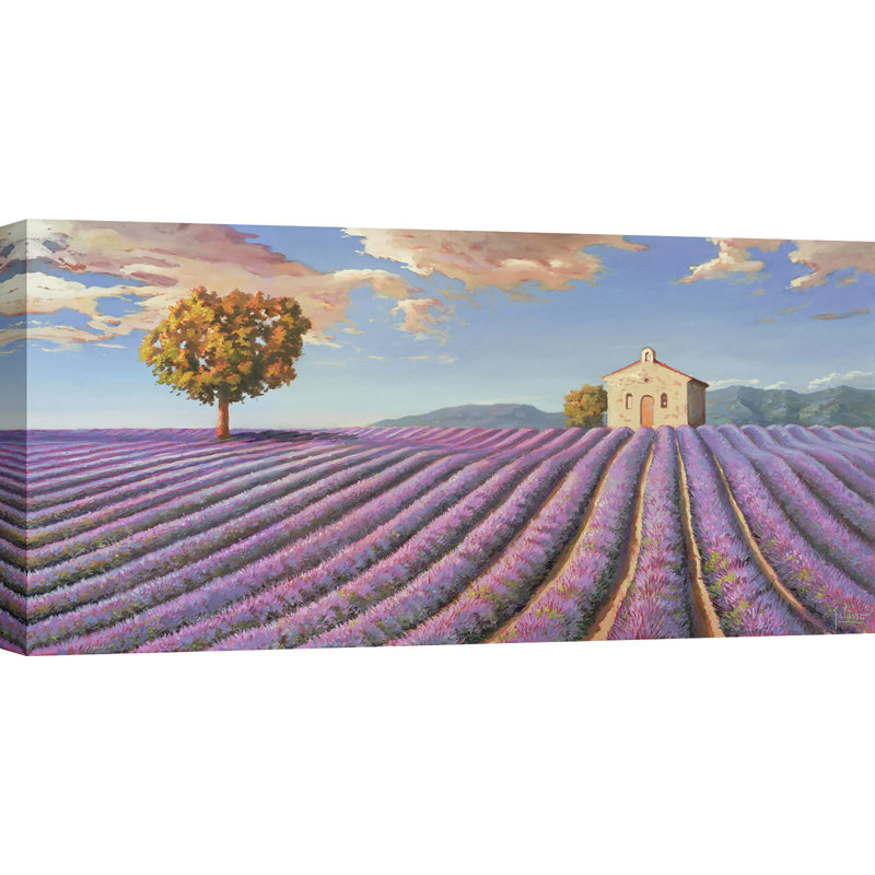 Lavender Fields by Adriano Galasso - Wrapped Canvas Print, 35 cm H x 70 cm W