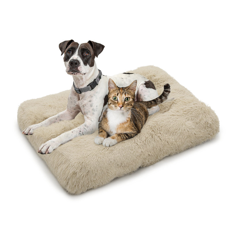 Coussin de siège pour animal de compagnie, Beige, Grand (H 5 po x l 39 po x P 29 po)