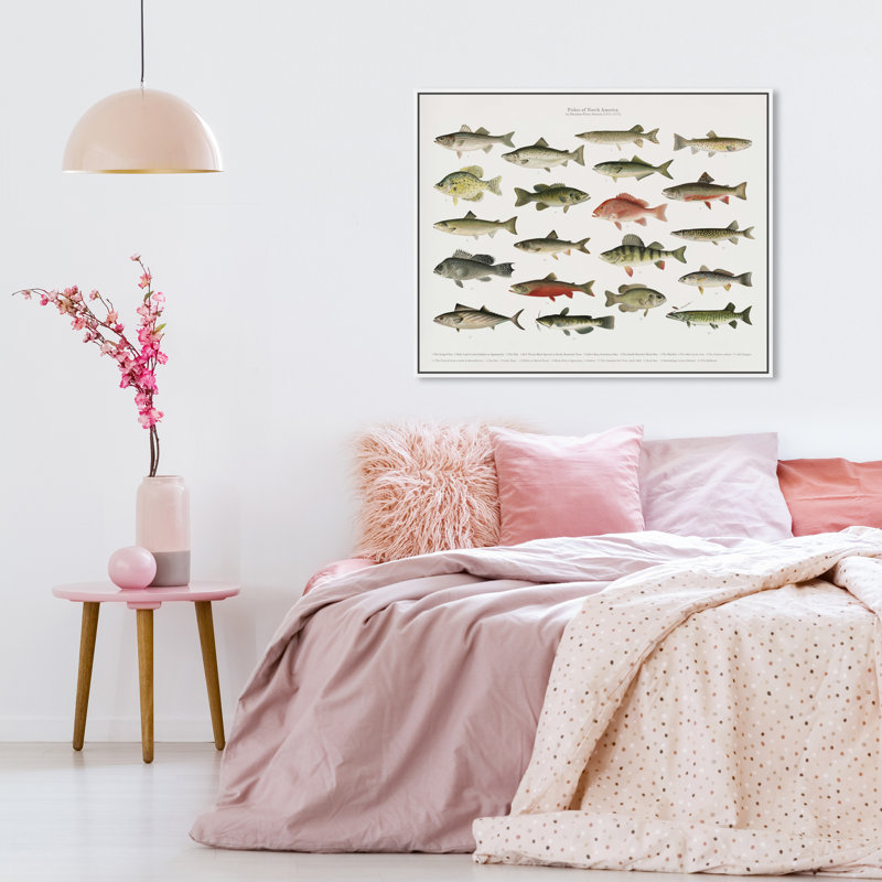 " American Fish " Painting Print, White Framed, 28" H x 24" W