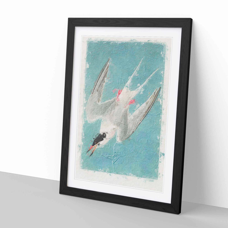 Roseate Tern Bird by John James Audubon - Picture Frame Painting Print, 50cm H x 35cm W x 2cm D, Black