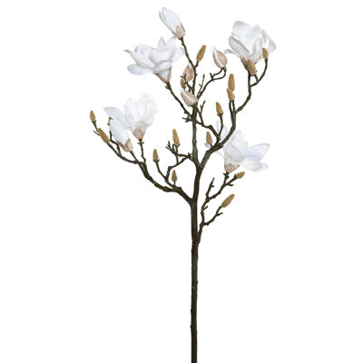 Arrangement