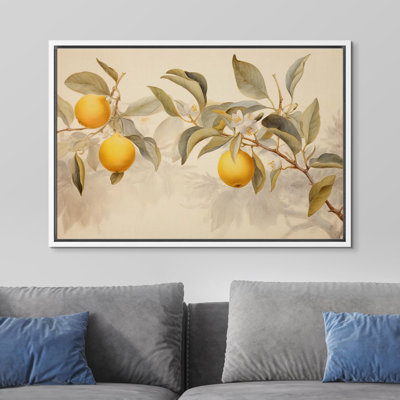 Fruits " Peach Fruit And "