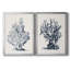 Blue Antique Coral I - ensemble de 2 reproductions d'art sur toile encadrées-141662325-141662327