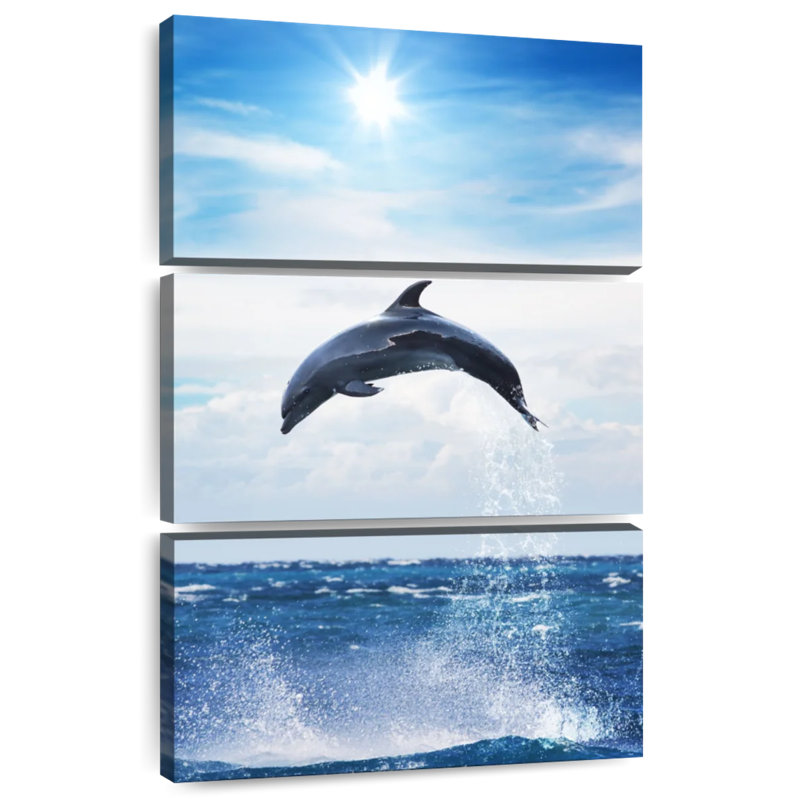 Dauphin volant Brampt
