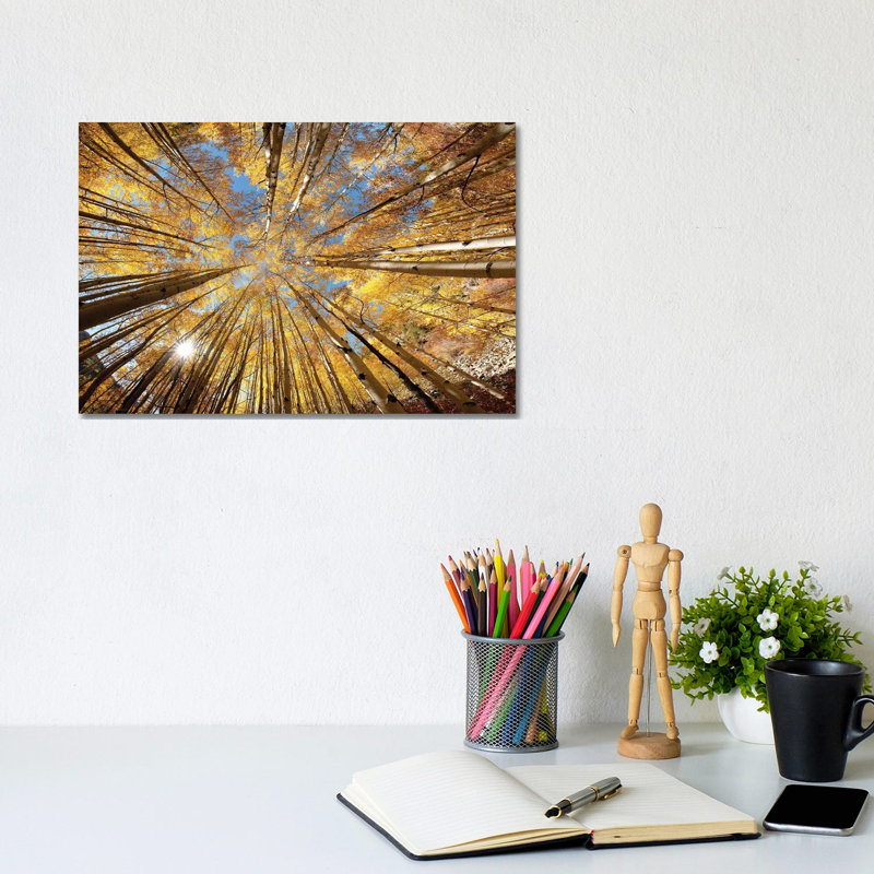 Colorado Autumn Splendor by OLena Art - Wrapped Canvas Print, 20.32 cm H x 30.48 cm W