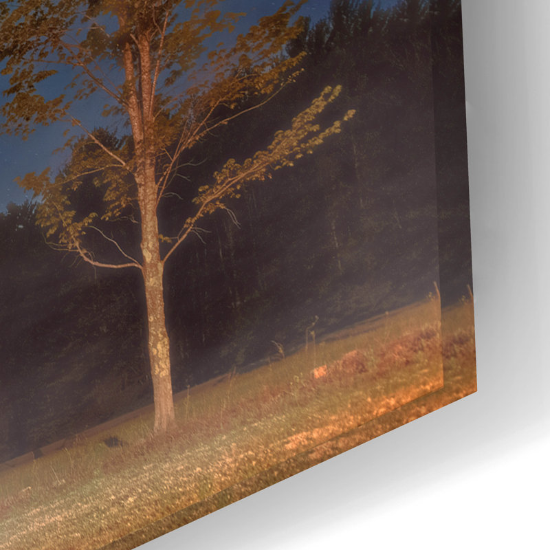 Art mural en verre Millwood Pines «Schoolhouse Under The Stars» par Rick Berk, H 16 po x l 24 po x P 0,2 po