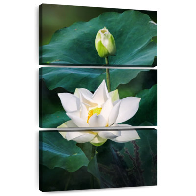 Harnek en fleurs de lotus blancs