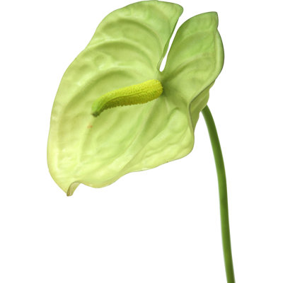 Jet de anthurium artificiel