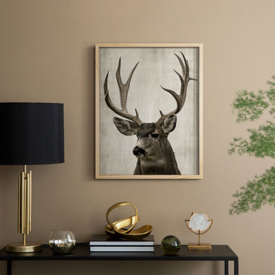 Colorado Buck Framed Print - Solid Wood