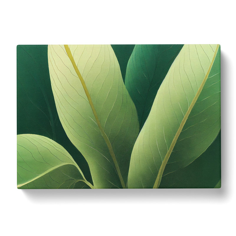 Amazing Leaf - Wrapped Canvas, 35cm H x 50cm W x 3cm D