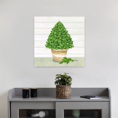 Arbre de buis en pot contemporain