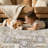 Modern Area Rug Abstract Washable Rugs with Non-Slip Backing for Living Room Bedroom-Light Brown-155060549