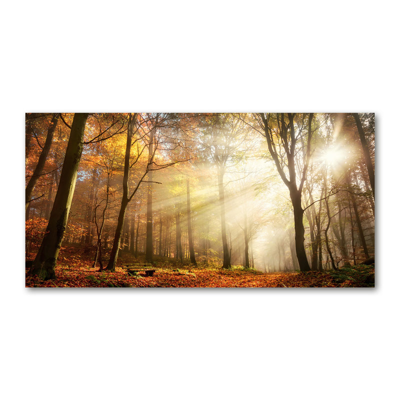 Fog In The Forest - Print, Canvas, 70cm H x 140cm W x 2cm D