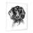 White Picture Framed Canvas