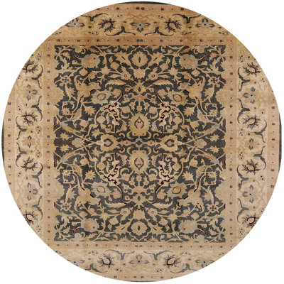 Cianni Oriental Indoor Rug