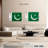 Silky Pakistan Flag-679303906