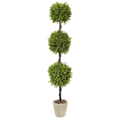 Topiaire de printemps buis en pot