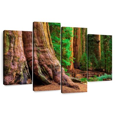 Aadvi Sturdy Sequoia Tree