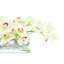 Orchids and Curly Willow Arranged in an Oval Glass Vase-114192900