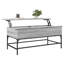 Sumiko Lift Top Four Leg Coffee Table with Storage-125354824