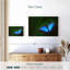 Joli papillon bleu Brampt-108698383