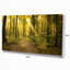 «Sunset in Green Autumn Forest», reproduction de photo sur toile tendue-19240663