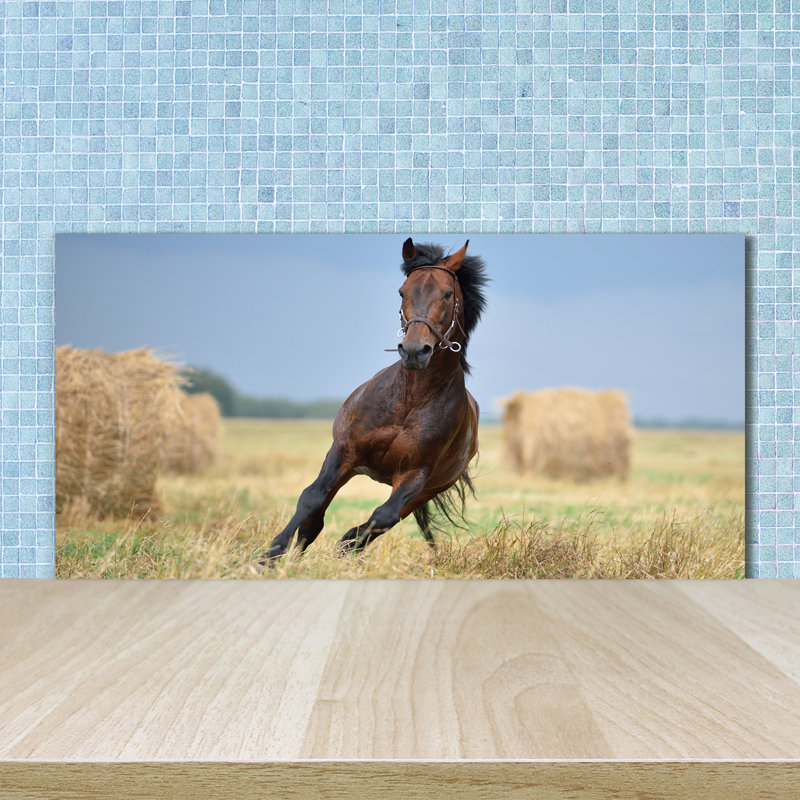 50cm W x 100cm L Glass Peel and Stick Panel