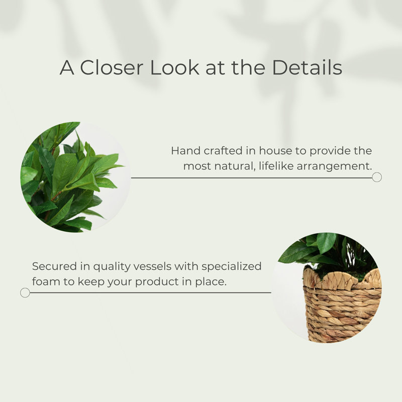 Panier 25 po Laurel Bush